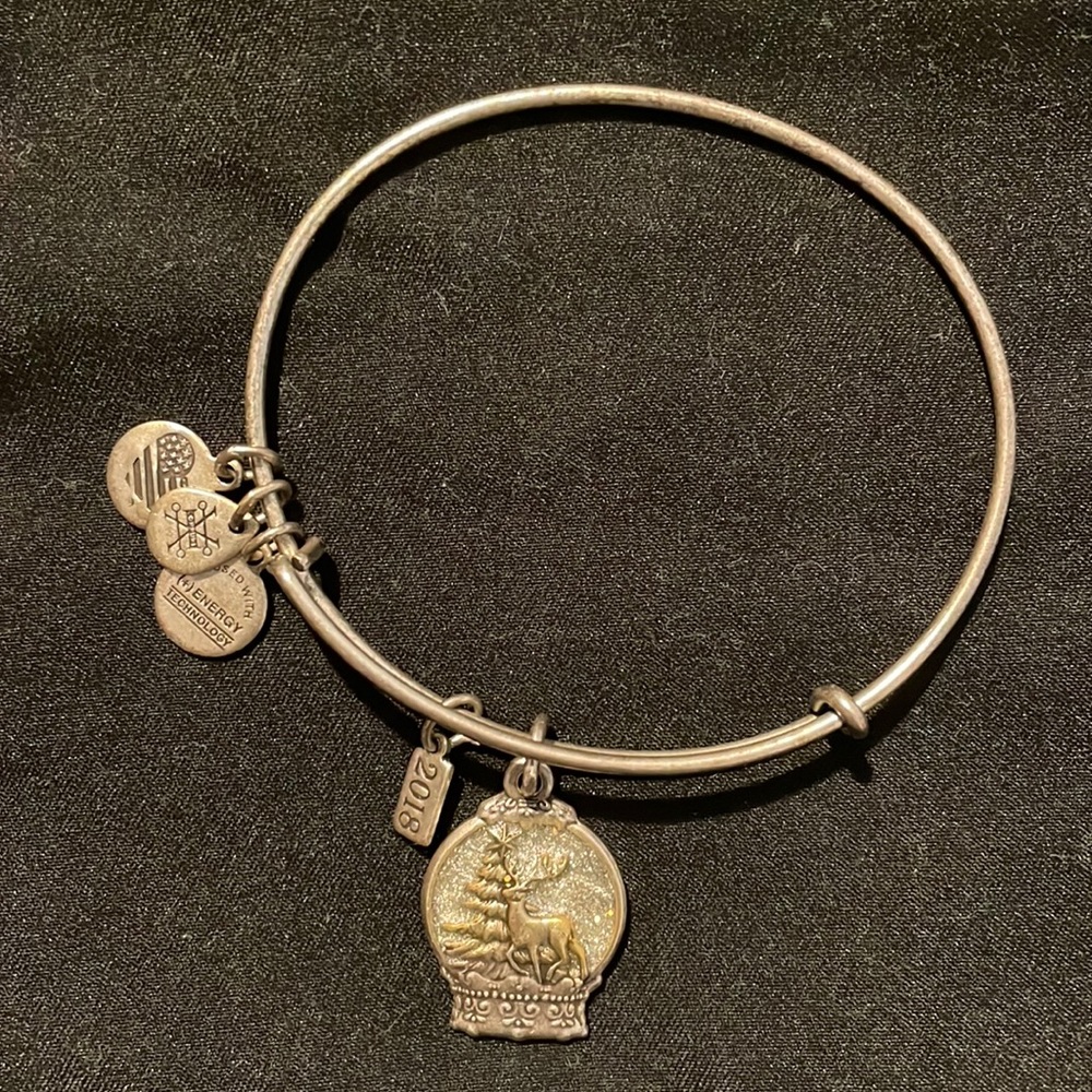 Alex and Ani Snow Globe Bracelet